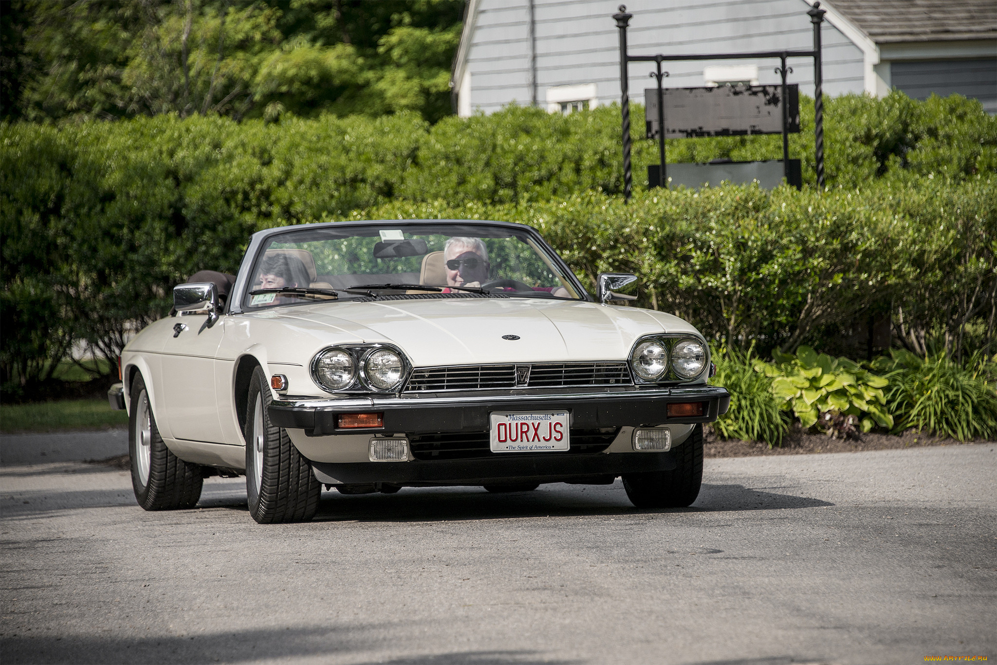 jaguar xjs, , jaguar, , , 